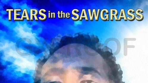 Upcoming new book this year  "Tears in the Sawgrass"