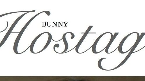 Bunny Hostage,:  An original series about powerful women, their mentors, and their men.