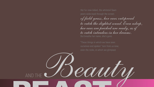 Poem Poster
*colors may appear different depending of screen, sorry for this*