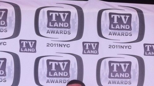 2011 TV Land Awards 
