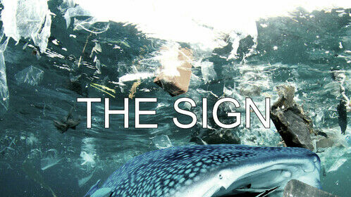 The poster of  my project, THE SIGN