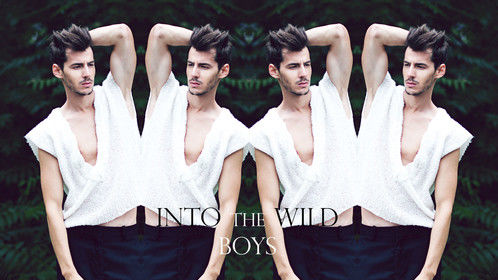 project@ INTO THE WILD BOYS