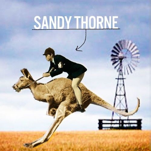 Sandy Thorne