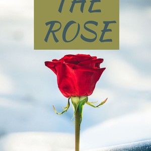 The rose