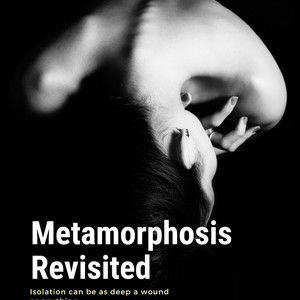 METAMORPHOSIS REVISITED