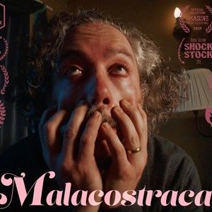 Malacostraca