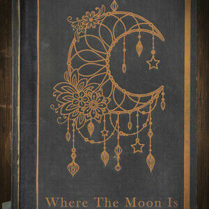 Where The Moon Is