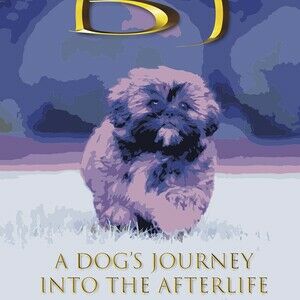 BJ: A dog's journey into the afterlife