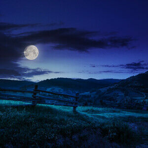 In the Moonlight