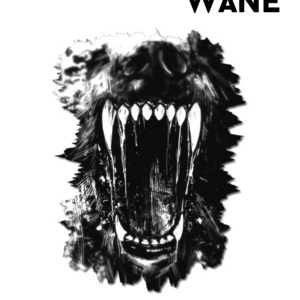 WAX/WANE