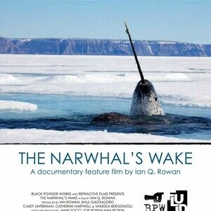 The Narwhal's Wake