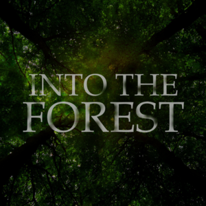 Into The Forest 