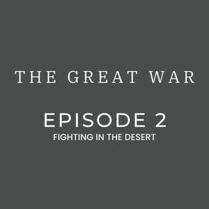 Fighting in the Desert