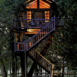 Treehouse