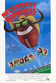 Necessary Roughness