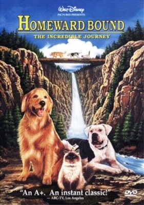 Homeward Bound: The Incredible Journey