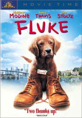 Fluke