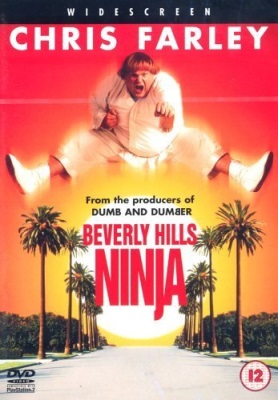 Beverly Hills Ninja