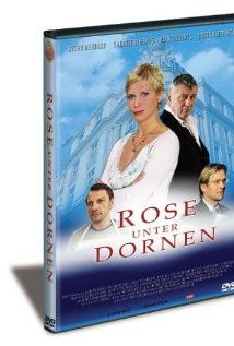 Rose unter Dornen