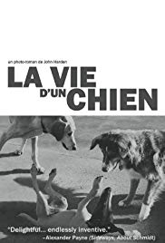 La vie d'un chien