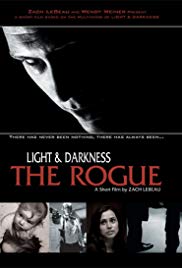 Light and Darkness: The Rogue