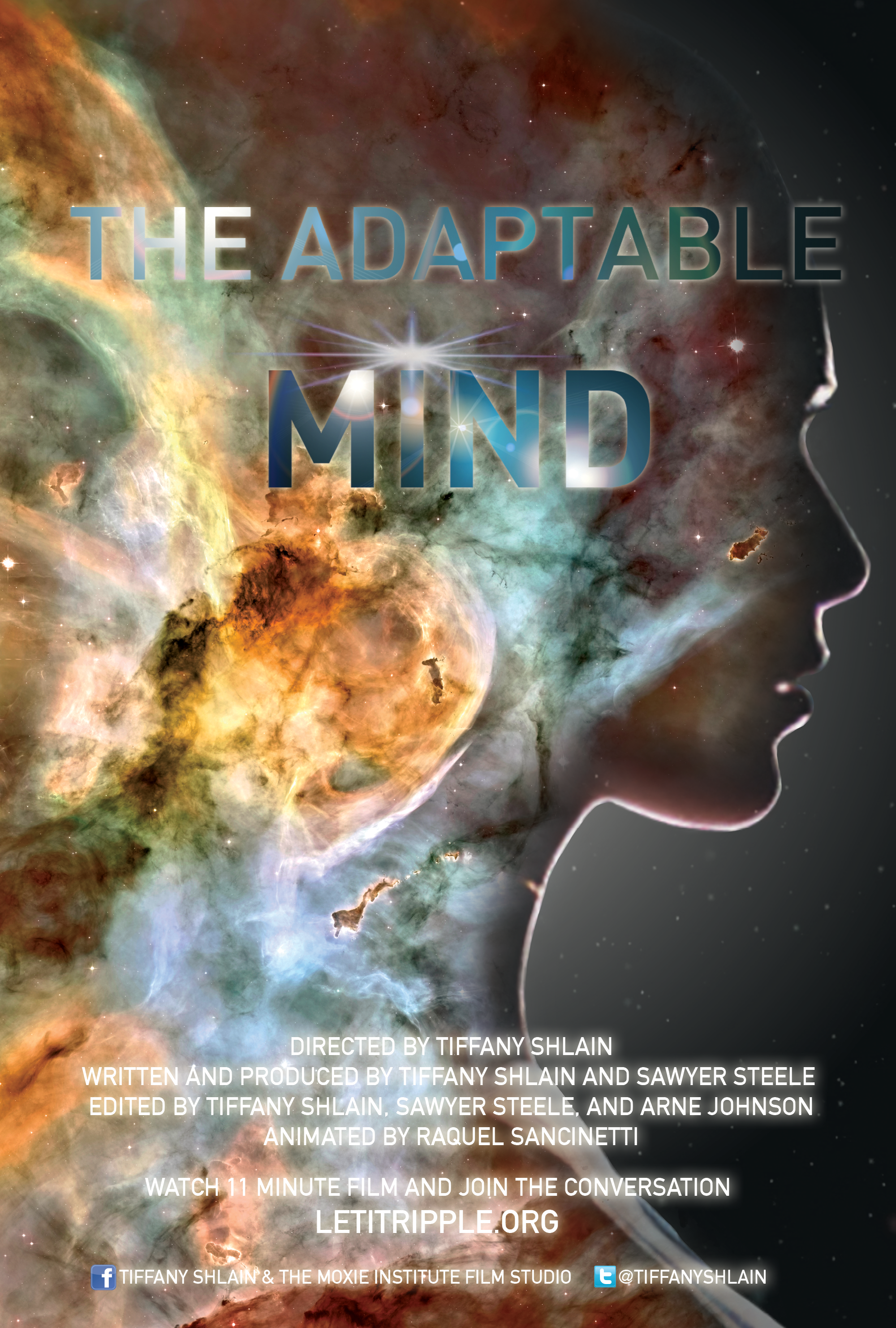 The Adaptable Mind