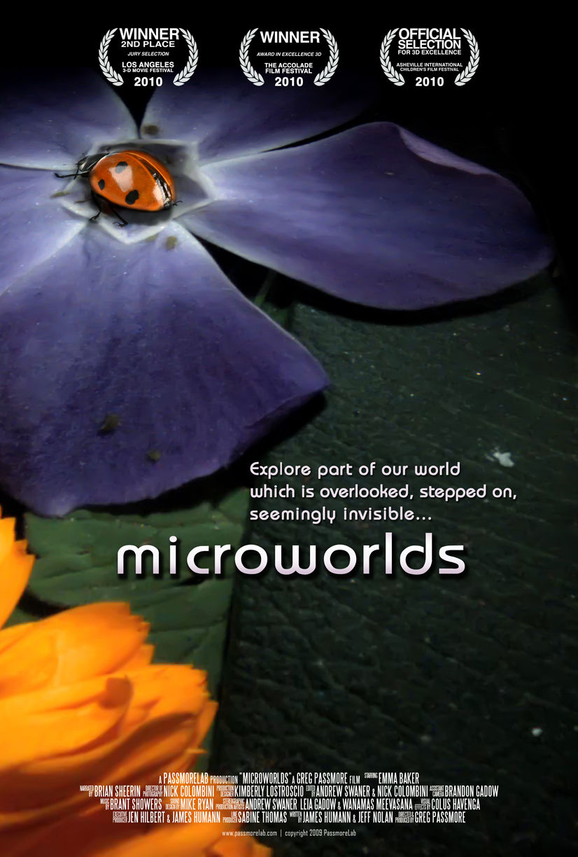 MicroWorlds