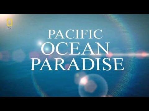 Pacific Ocean Paradise