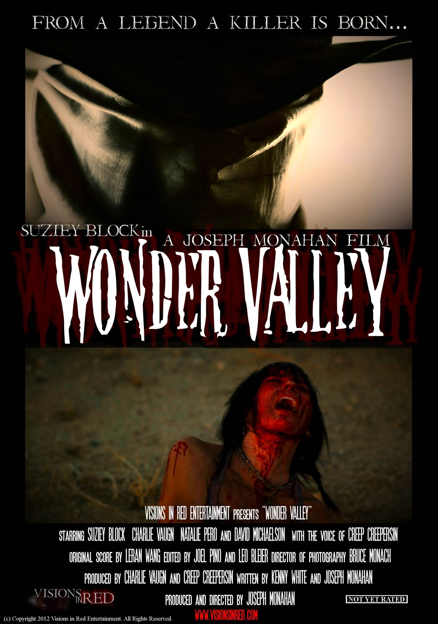 Wonder Valley