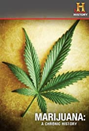 Marijuana: A Chronic History