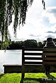 Still Life with Bench