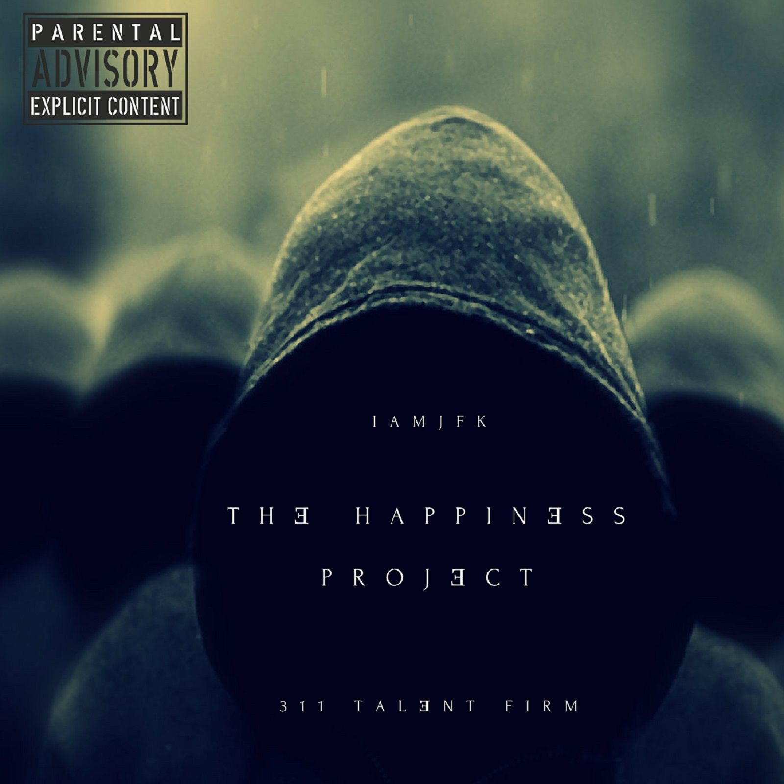 The Happiness Project 