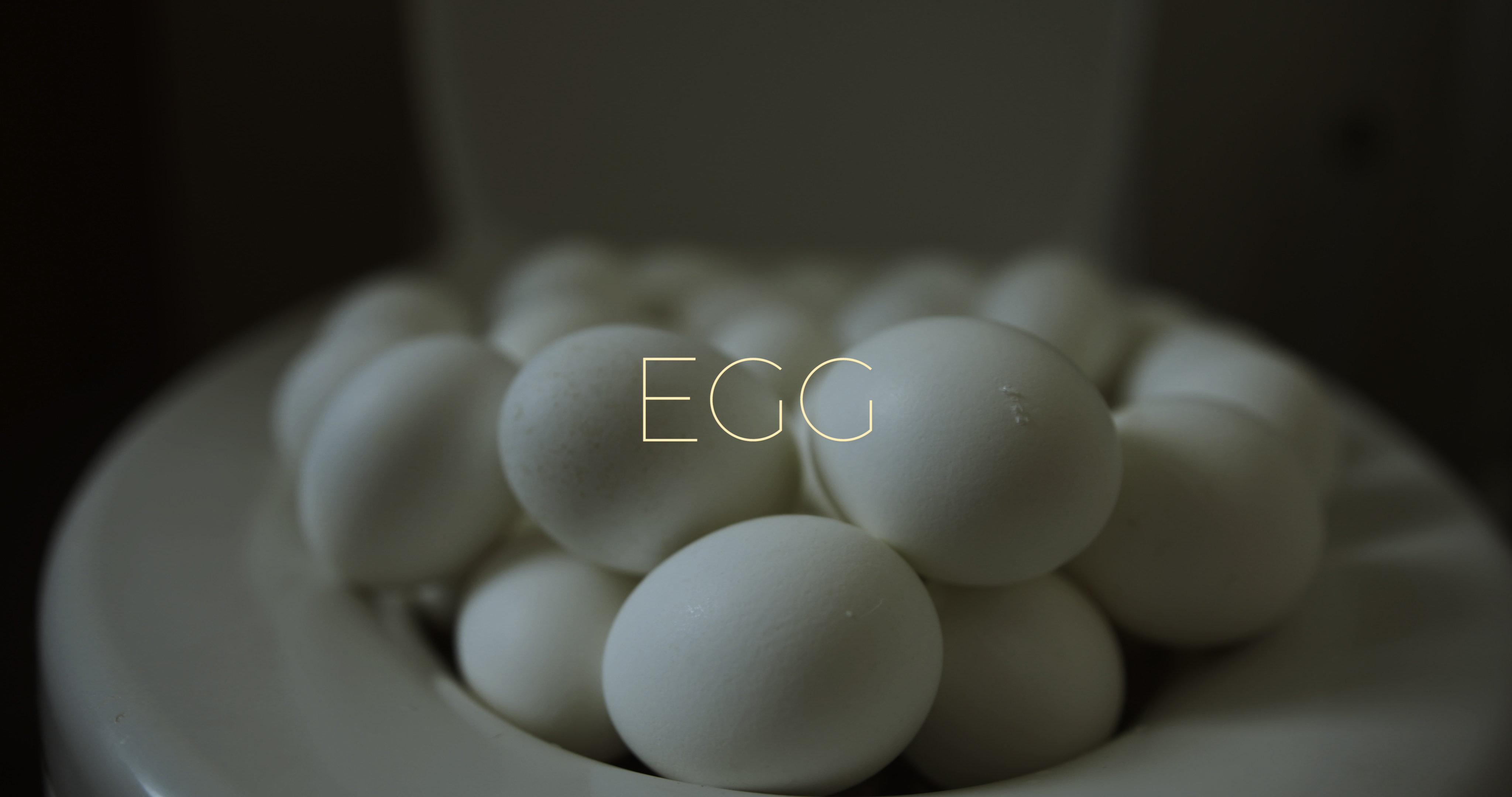 Egg