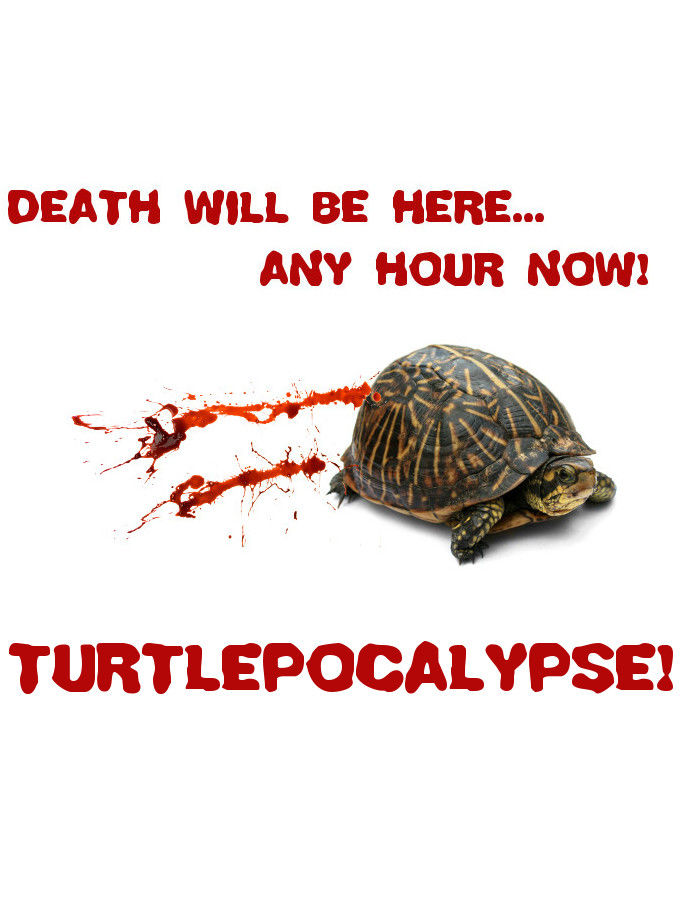 Turtlepocalypse!