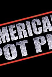 American Pot Pie