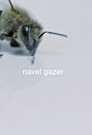 Navel Gazer