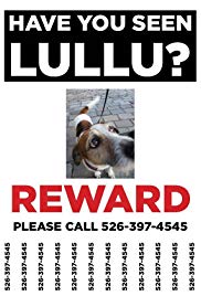 Have You Seen Lullu?