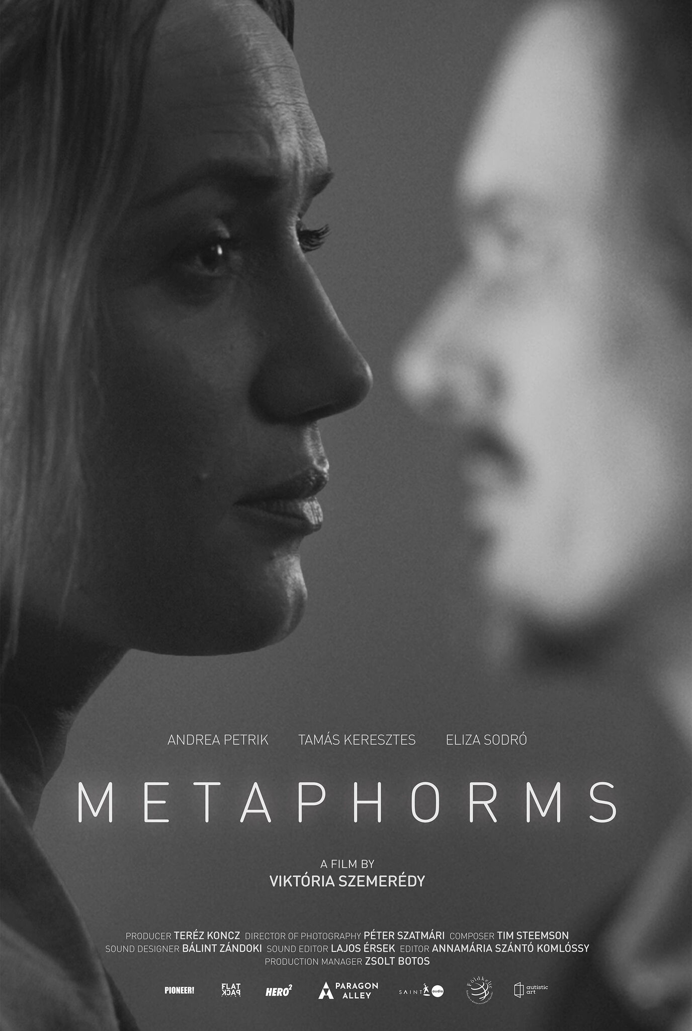 Metaphorms