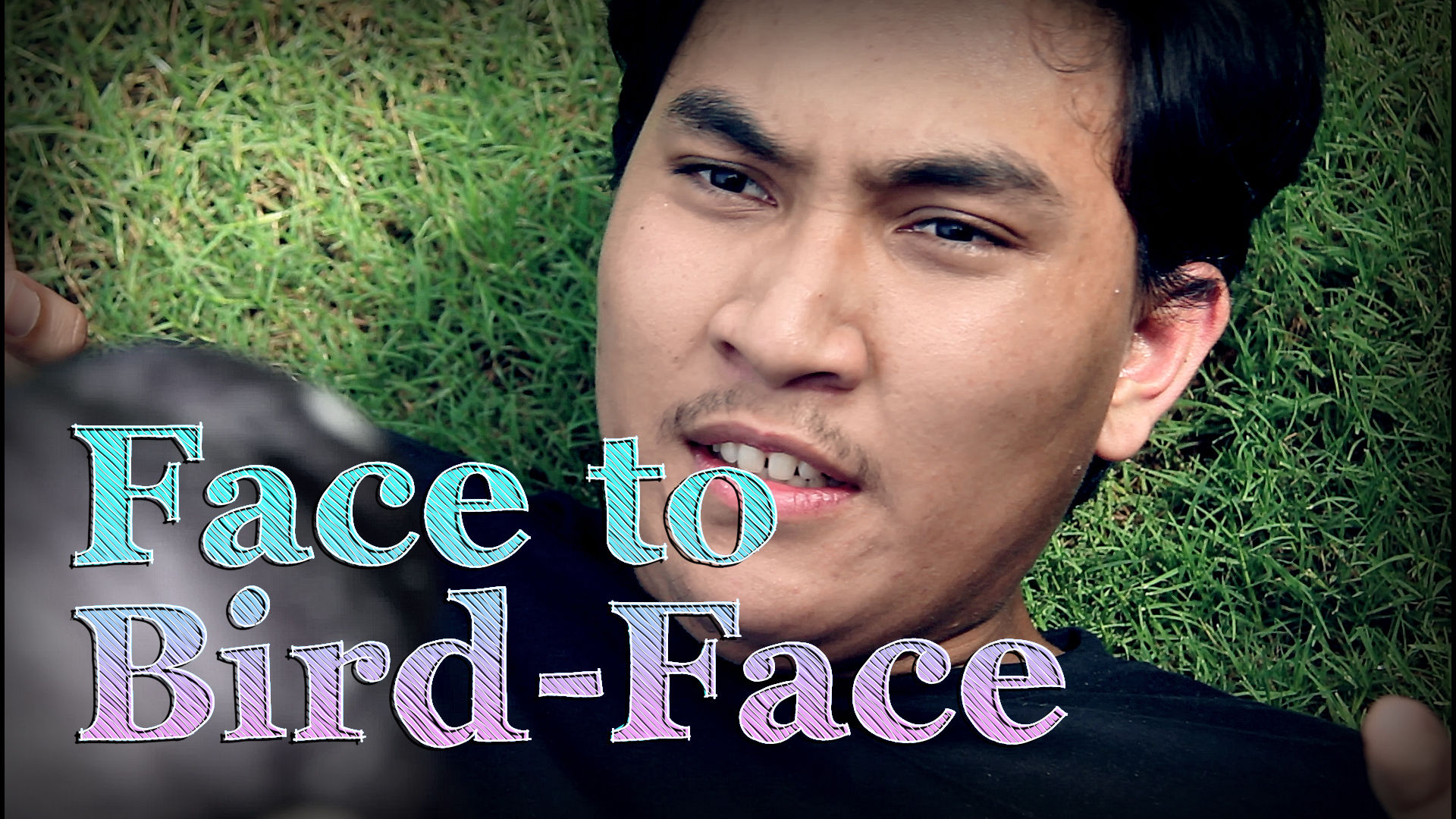 Face to Bird-Face