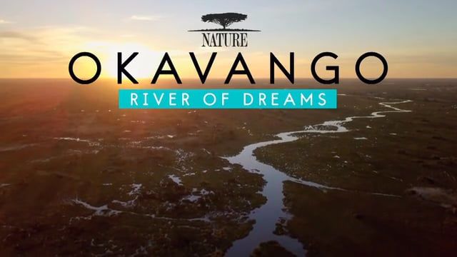 Okavango: River of Dreams