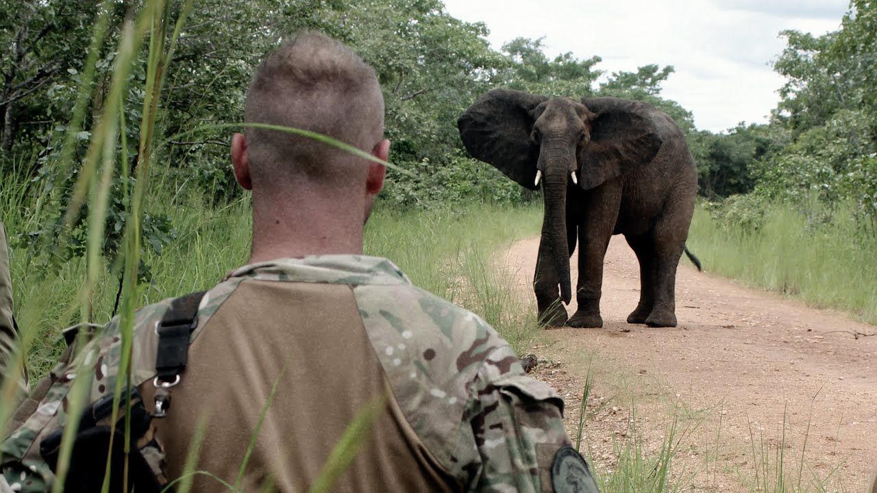 A Reason To Fight - Anti-Poachers in Kasungu National Park - Extended Scene | THE UNJUST & US