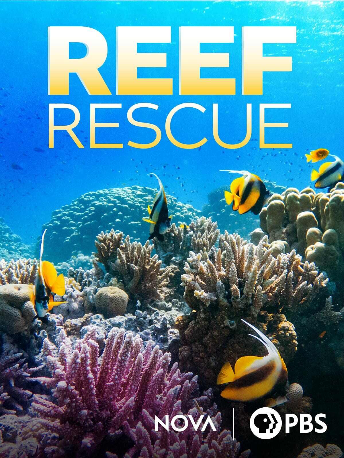 Reef Rescue