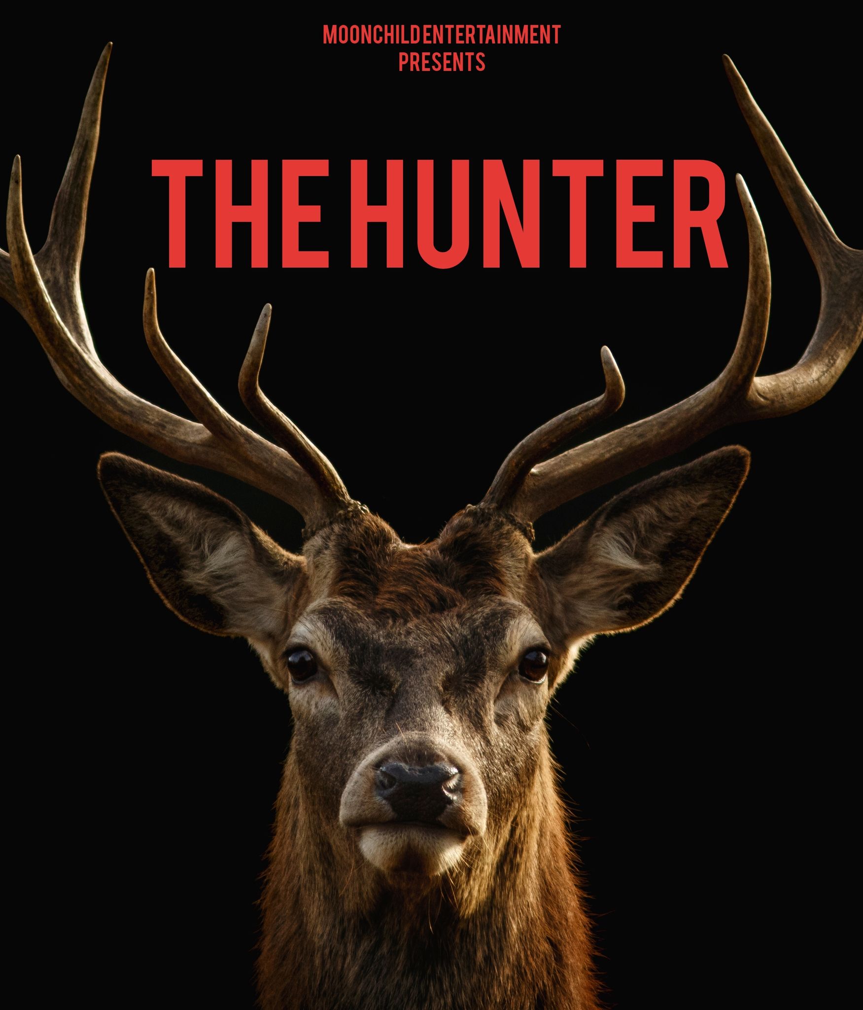 The Hunter