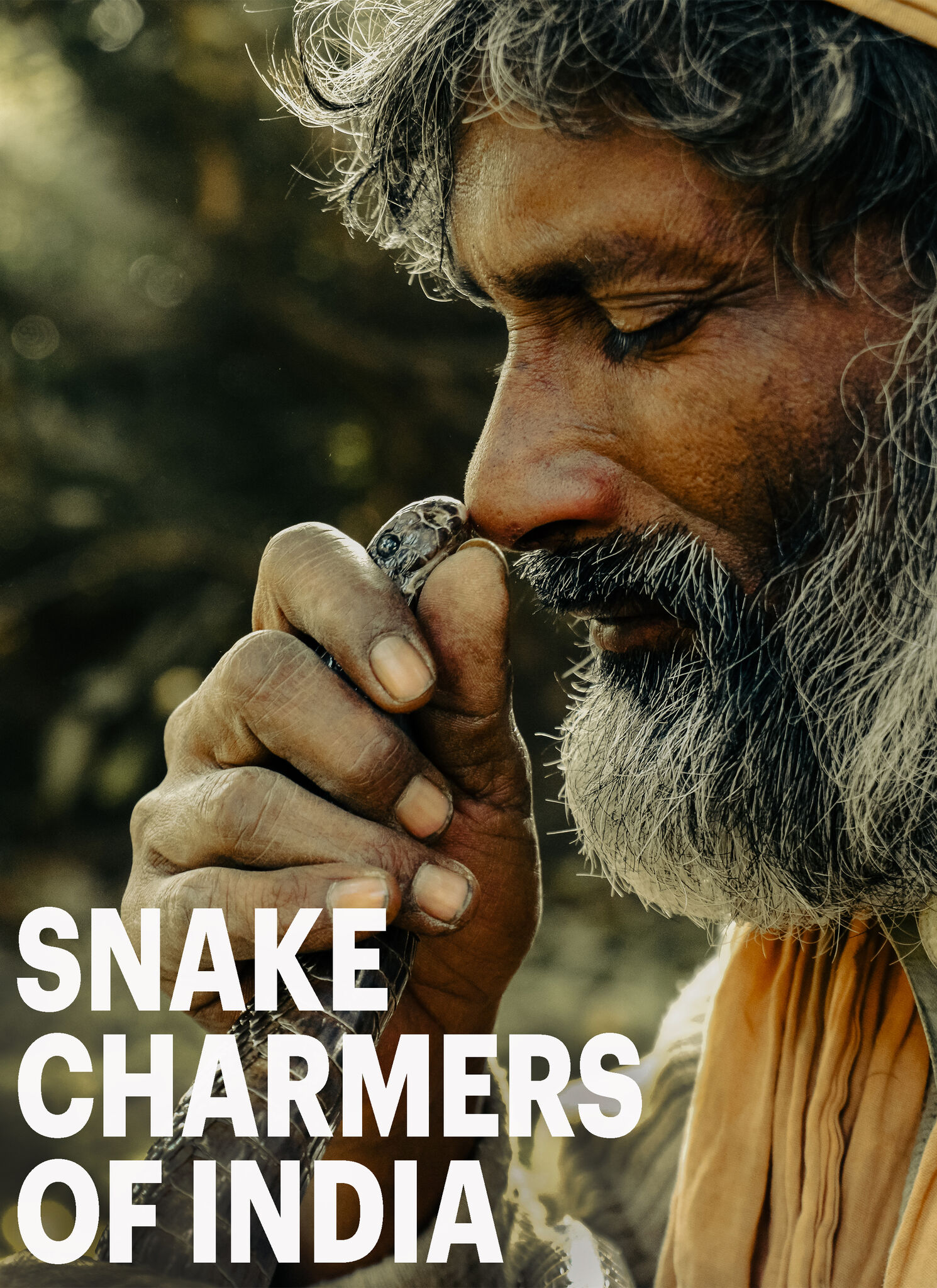 Snake Charmers of India