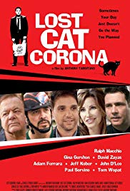 Lost Cat Corona