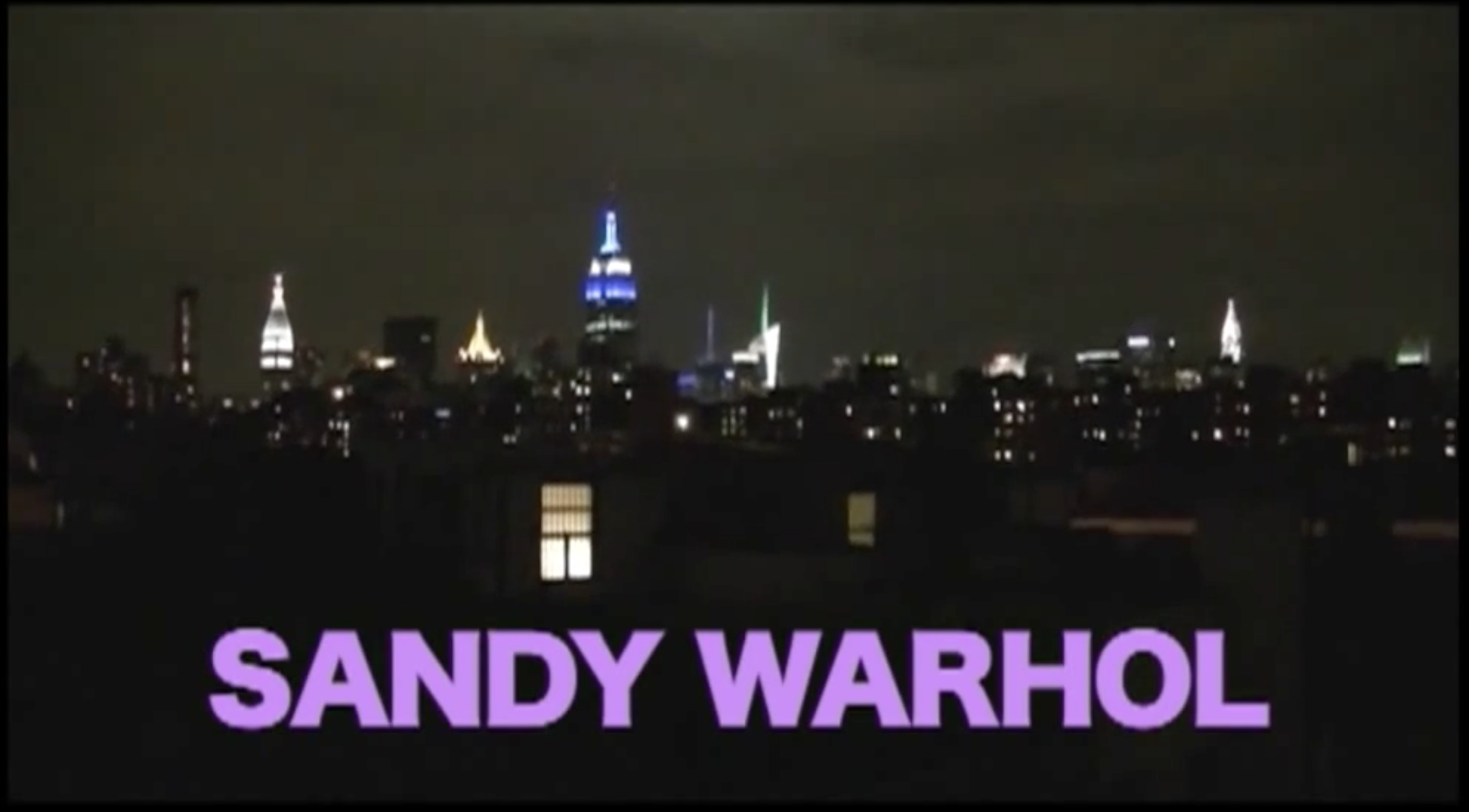 Sandy Warhol