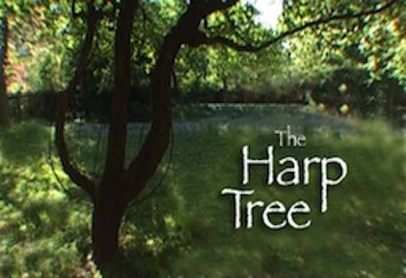 "The Harp Tree"