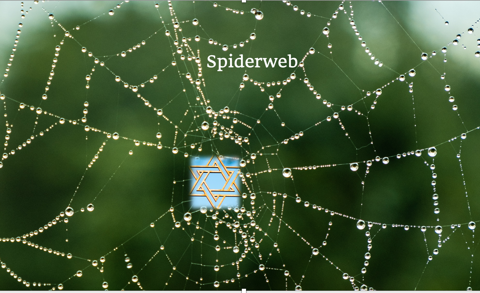 Spiderweb