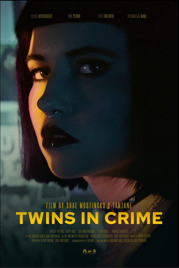 Twins in Crime