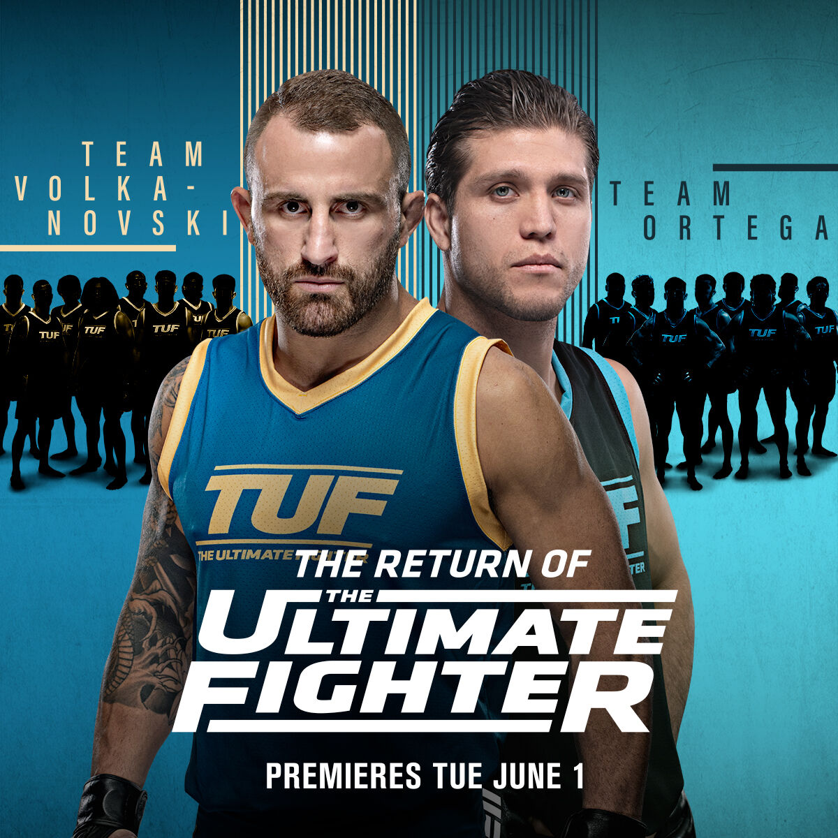 The Ultimate Fighter (TUF)